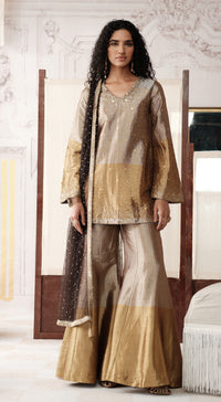 V-neck gold tissue sharara suit with full sleeves - Basanti kapde aur koffee
