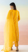 Yellow Embroidered Suit Set - Basanti Kapde aur Koffee